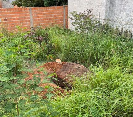 Polícia Civil cumpre 5 mandados contra quadrilha que sequestrou empresário