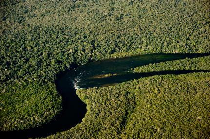 MT:  TRANSPORTE ZERO:  Estado encaminha projeto contra pesca predatória em rios de MT