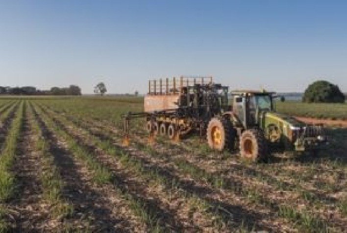Dia Mundial do Meio Ambiente: agricultura regenerativa favorece saúde do solo, biodiversidade e descarbonização