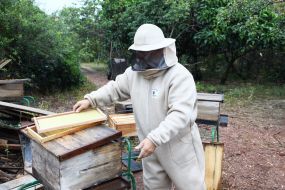 Programa Agro da Gente fortalece a apicultura e beneficia primeiro produtor rural em Cuiabá