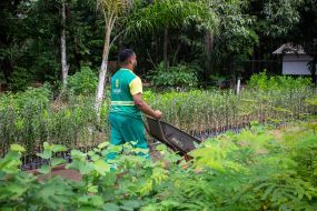 Horto Florestal terá programação especial com café da manhã, palestras e distribuição de mudas