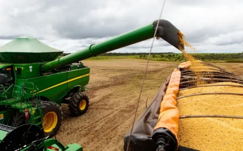 Mato Grosso lidera mais uma vez a produção de alimentos entre cereais, leguminosas e oleaginosas
