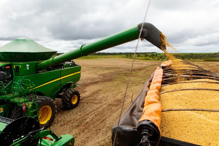 Mato Grosso lidera mais uma vez a produção de alimentos entre cereais, leguminosas e oleaginosas