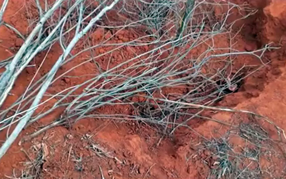 Mulher é encontrada morta enterrada em buraco de obra