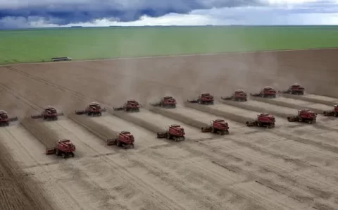 Como Brasil quer impulsionar a agricultura com o Plano Safra