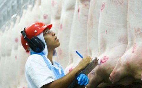 Exportações de carne suína brasileira terminam junho superando em volume e faturamento junho/22 e maio/23