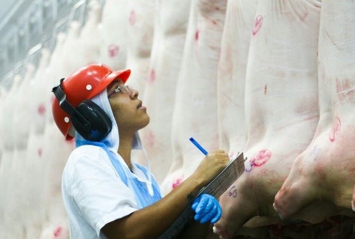 Exportações de carne suína brasileira terminam junho superando em volume e faturamento junho/22 e maio/23