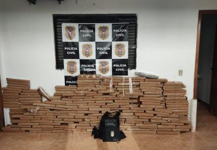 Polícia Civil apreende 280 tabletes de maconha em fazenda em Pedra Preta