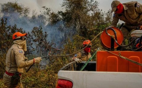 Com seca severa Mato Grosso declara situação de emergência no estado