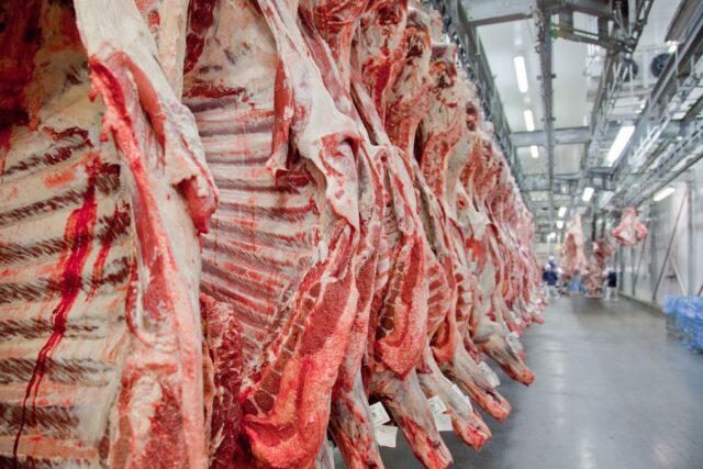 MT:  Mato Grosso bate recorde no volume de carne bovina exportada