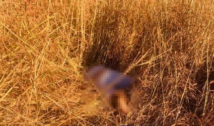 Homem é encontrado morto em matagal perto de boate em MT