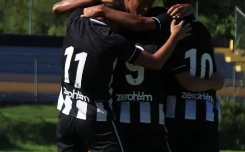 Botafogo não teme desmanche no elenco após temporada vitoriosa