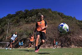 Grêmio x Botafogo: informações, prováveis escalações e onde assistir à partida do Brasileirão
