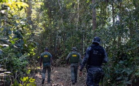 MT:  EM MATO GROSSO:  Quase R$ 1 bi em multas: governo embarga 153 mil hectares
