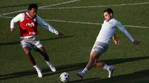 Veiga minimiza fase instável do Palmeiras: “Provamos outras vezes o quanto somos fortes mentalmente”