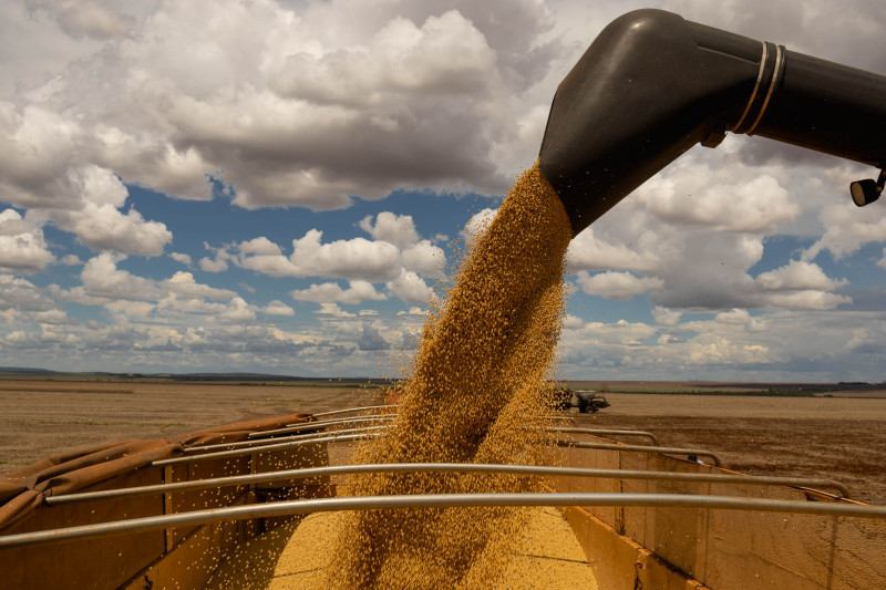 Agricultores enfrentam perspectivas de desvalorização da soja com atualização do relatório de oferta e demanda mundial