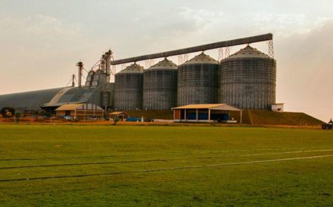 MT:  Construção de Silos em Mato Grosso é embargada pela Justiça