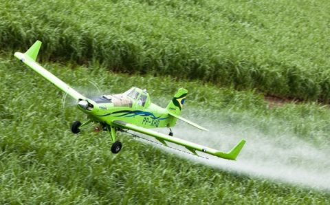 STF invalida regras que flexibilizaram controle de qualidade de agrotóxicos