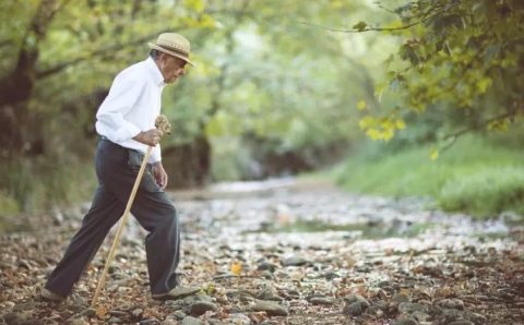 5 mil, 8 mil ou 10 mil: quantos passos por dia são necessários para melhorar a saúde?