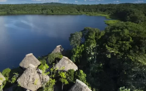 Equador decide proibir extração de petróleo na Amazônia