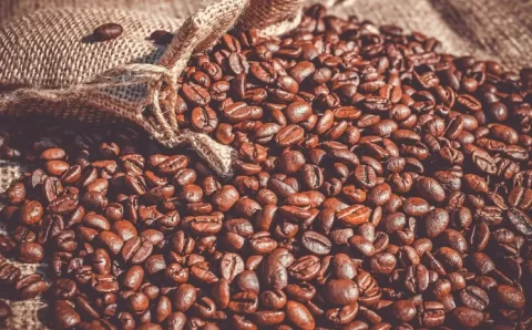 Oito lotes de café são apreendidos com presença de impurezas