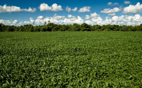 Aberto o prazo para entrega da Declaração do Imposto Territorial Rural