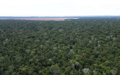 MT é o 1º estado a receber evento para debater iniciativa de fomento ao desenvolvimento sustentável na Amazônia