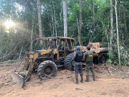 Operação Amazônia desmobiliza extração ilegal de madeira na Estação Ecológica Rio Ronuro