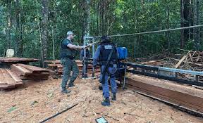 Sema-MT aplica R$ 36 milhões em multas por desmate ilegal no Parque Estadual do Cristalino