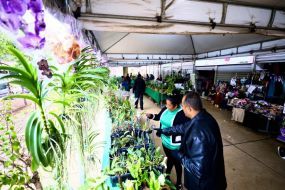 MT:  Cuiabá terá mais uma edição do Festival de Orquídeas e Rosas do Deserto