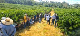 Empaer abre processo de credenciamento para pesquisa, assistência técnica e extensão rural