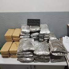 Batalhão Ambiental prende homem com 34 quilos de drogas em Nova Olímpia