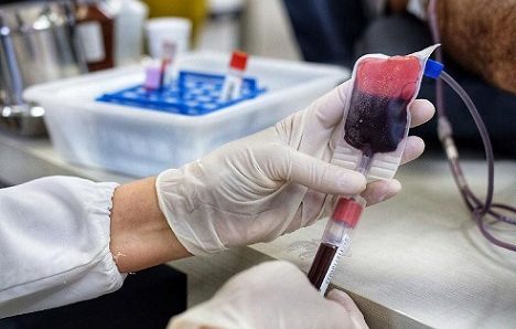 MT:  Hemocentro realiza coleta de sangue e cadastro de voluntários no Dia Mundial do Doador de Medula Óssea