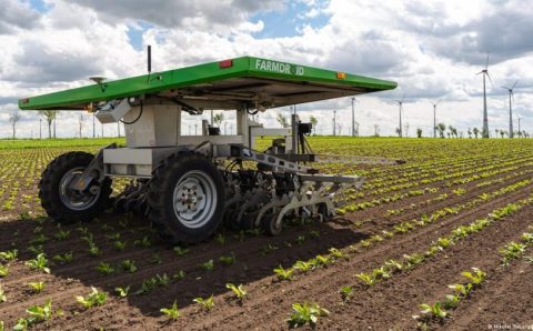 Glifosato está com os dias contados na UE?