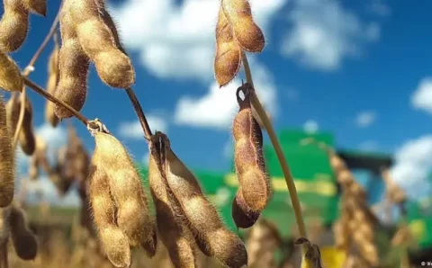 Produtores do Mercosul criticam falta de diálogo com UE