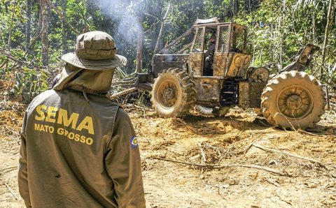 MT:  Justiça suspende liminar que proibia destruição de maquinários apreendidos em operações ambientais em MT
