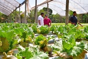 Propriedades do programa Agro da Gente recebem visita dos técnicos do programa BID Pantanal