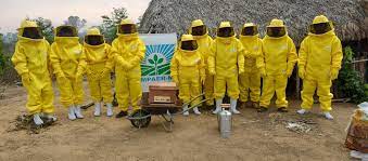 Indígenas participam de oficina da Empaer para fomentar a produção de mel no Vale do Araguaia