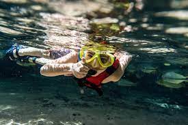 MT divulga turismo, potência econômica e diversidade cultural na maior feira multisetorial da América do Sul