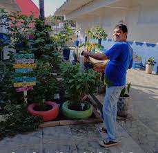 Horta medicinal da Escola Estadual Raio de Sol é finalista em prêmio nacional