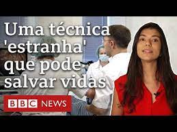 Como funciona o transplante de fezes, que Brasil estuda regulamentar