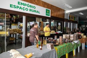 Mercado do Porto promete feriadão agitado com música ao vivo e festivais de peixe fresco, flores e gastronomia de 7 a 10 de setembro