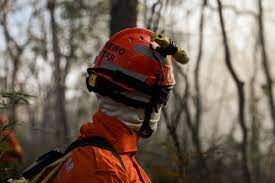 Corpo de Bombeiros controla incêndio no Pantanal