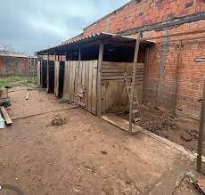 Ação conjunta resgata 12 cães por abandono e maus-tratos em Cuiabá