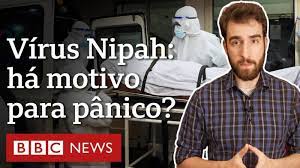 Nipah: quais são as chances de vírus mortal chegar ao Brasil ou causar nova pandemia?