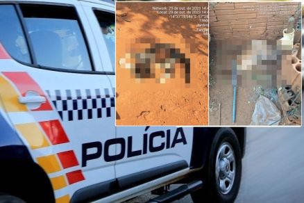 Homem é preso após torturar e matar animais domésticos