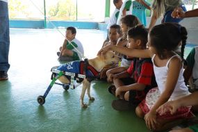 Prefeitura de Cuiabá lança projeto em favor da causa animal com foco no público infantil