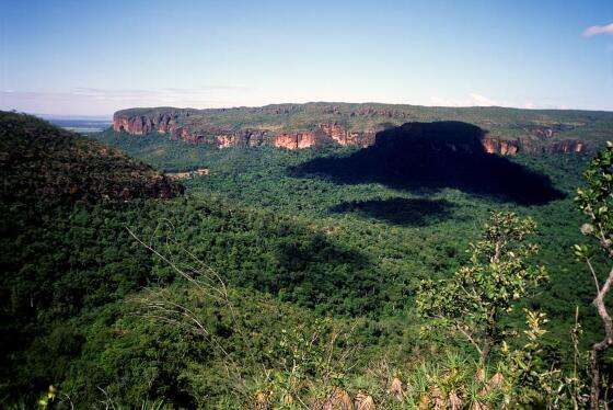 MT:  NO SENADO:   Comissão de Meio Ambiente aprova estadualização do Parque de Chapada