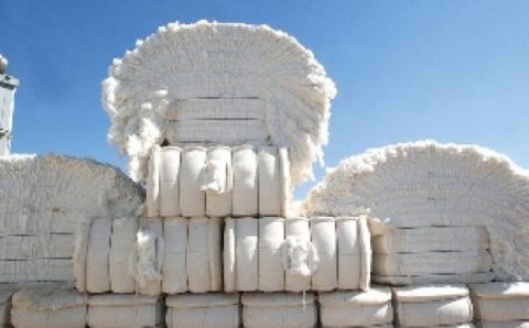MT:  MERCADO EXTERIOR:   Algodão da nova safra mato-grossense começa a ser exportado