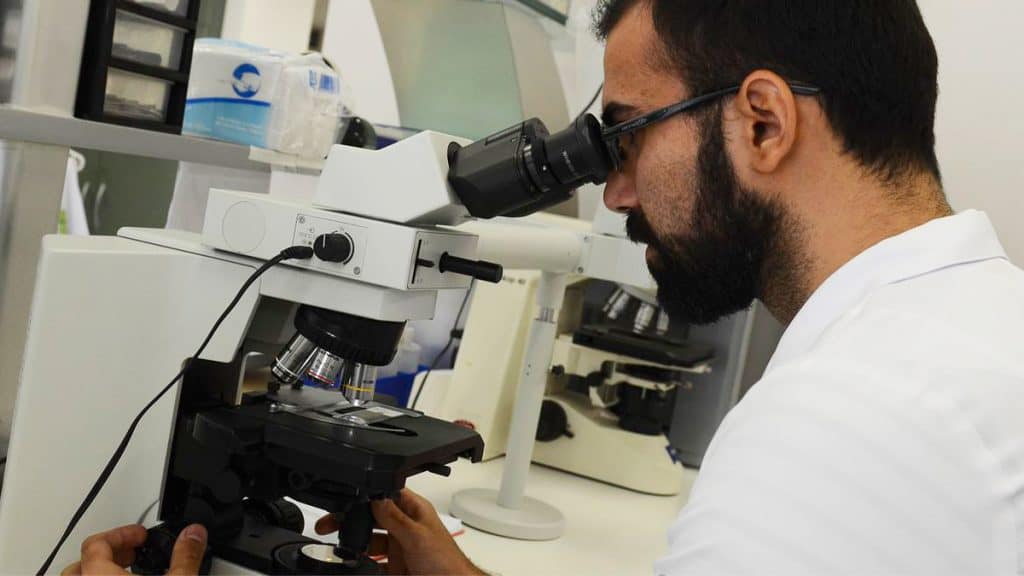 Ciência brasileira volta a respirar, mas precisa de cuidados, alertam pesquisadores